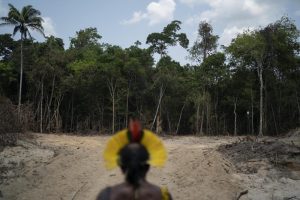 Η αποψίλωση των δασών του Αμαζονίου στη Βραζιλία σημειώνει ρεκόρ για τον μήνα Απρίλιο